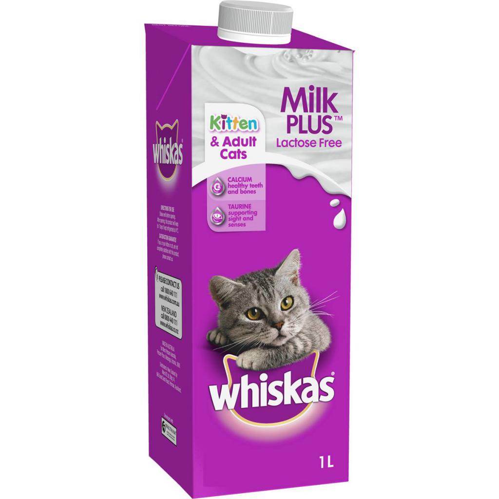 Можно ли кошкам молоко: состав продукта, польза и вред, чем заменить, как давать