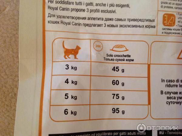Сколько раз кормить кошку в день: суточная норма кормления для котенка и взрослой кошки