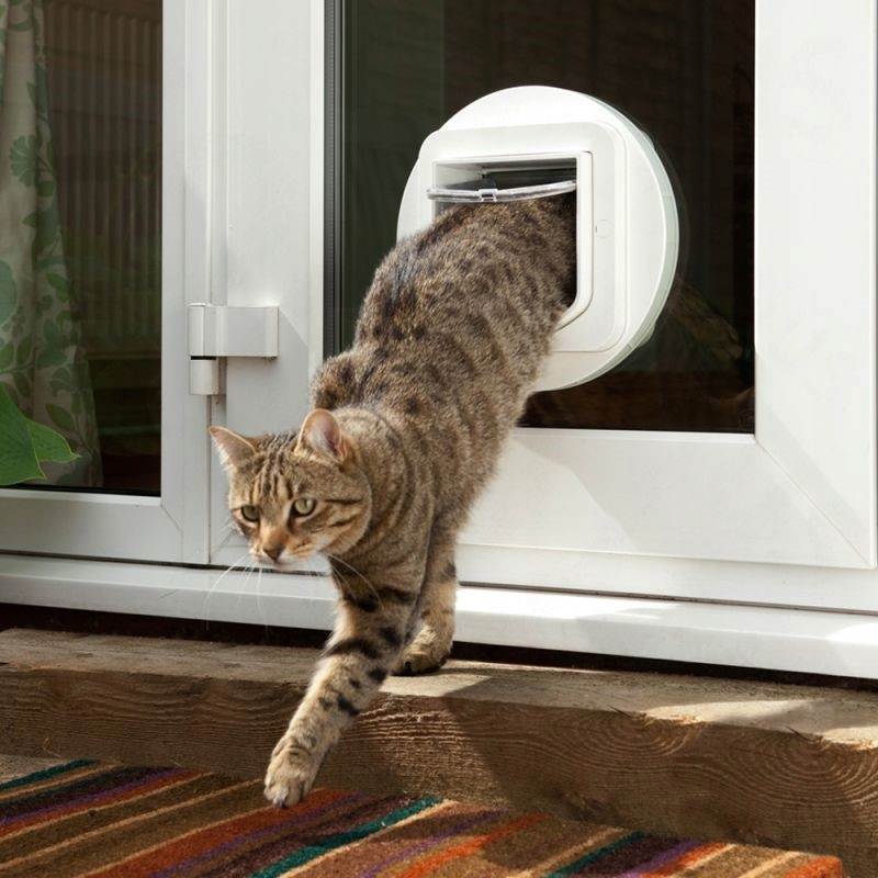 Дверца для кошек в дверь: отверстие-лаз для домашних животных