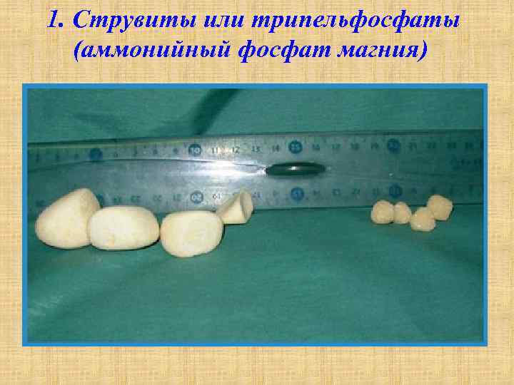 Диагностика и лечение мкб у животных в клиниках россии