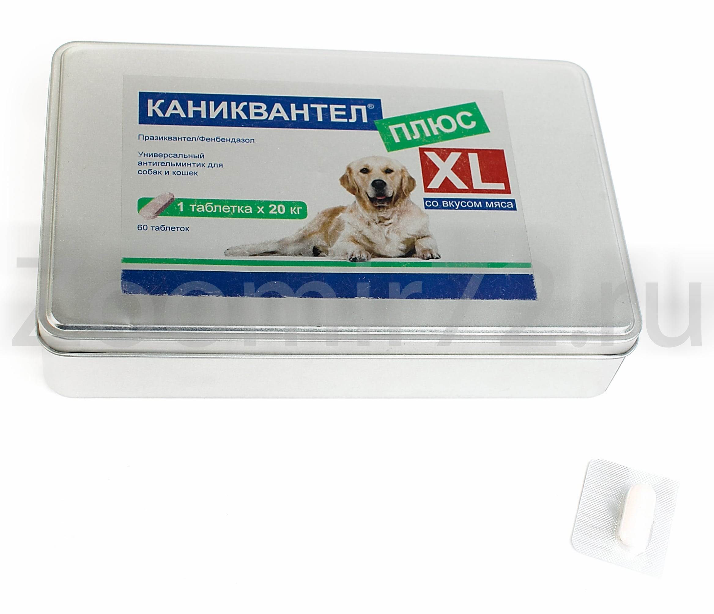 Инструкция по применению препарата «каниквантел» для лечения кошек: как давать питомцу таблетки от глистов?