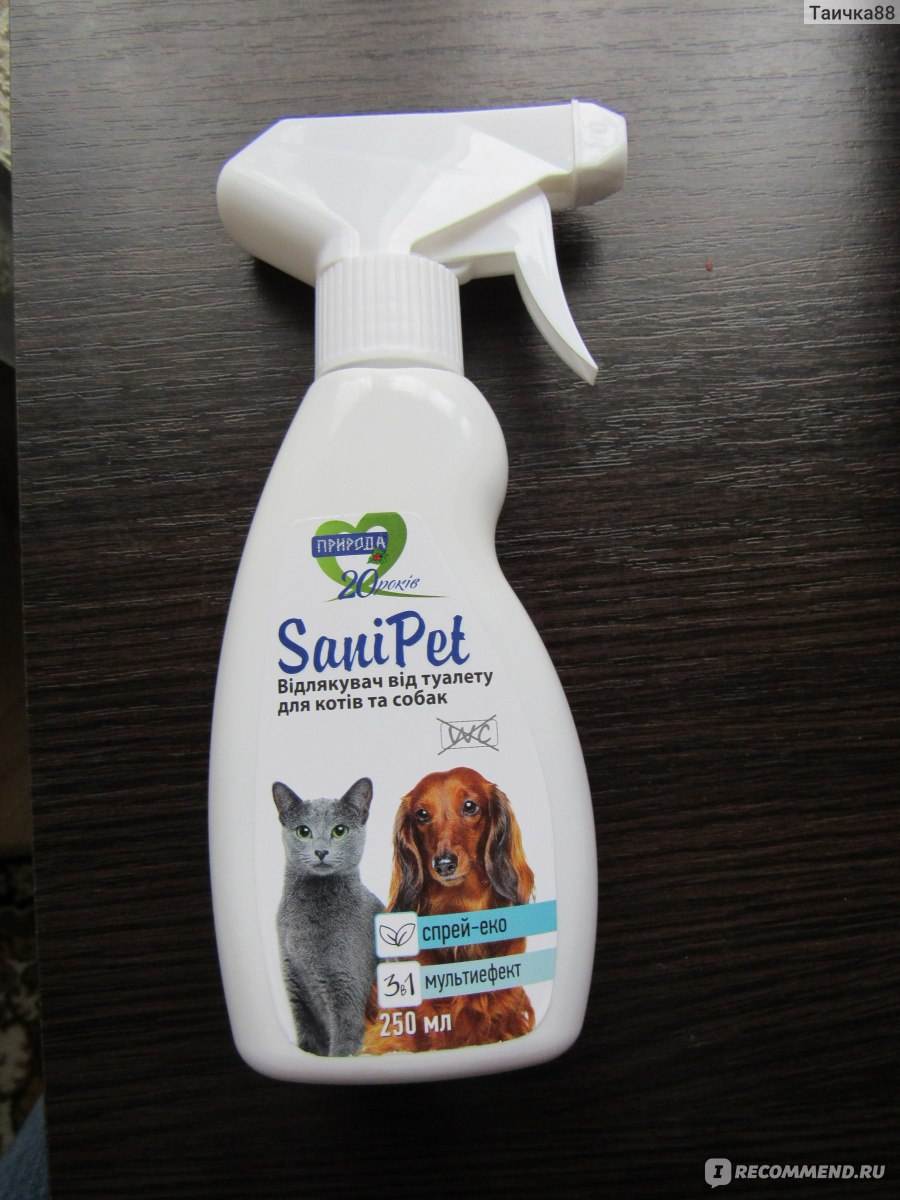 Какой запах не любят кошки, и с чем это связано?
