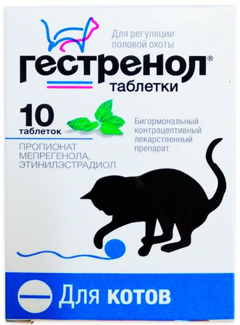 Противозачаточные препараты для кошек: таблетки, уколы, капли – какие контрацептивы лучше?