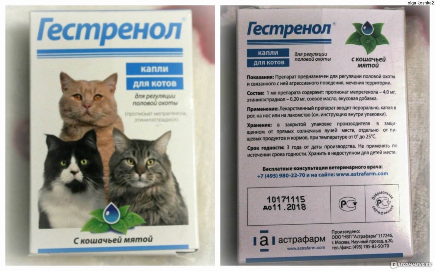 Применение лекарства корнам для лечения котов