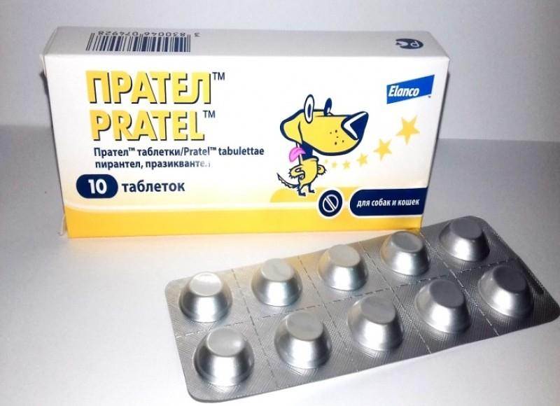 Прател для кошек: отзывы, инструкция по применению, противопоказания
