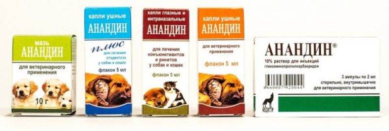 "анандин" для кошек: инструкция по применению