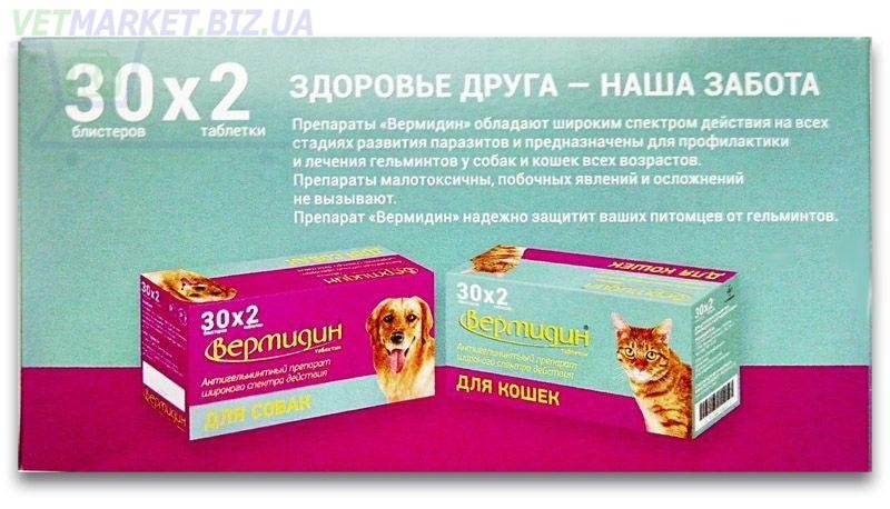 Квамател для кошек и собак инструкция по применению кваматела в ветеринарии состав лекарства дозировка отзывы
