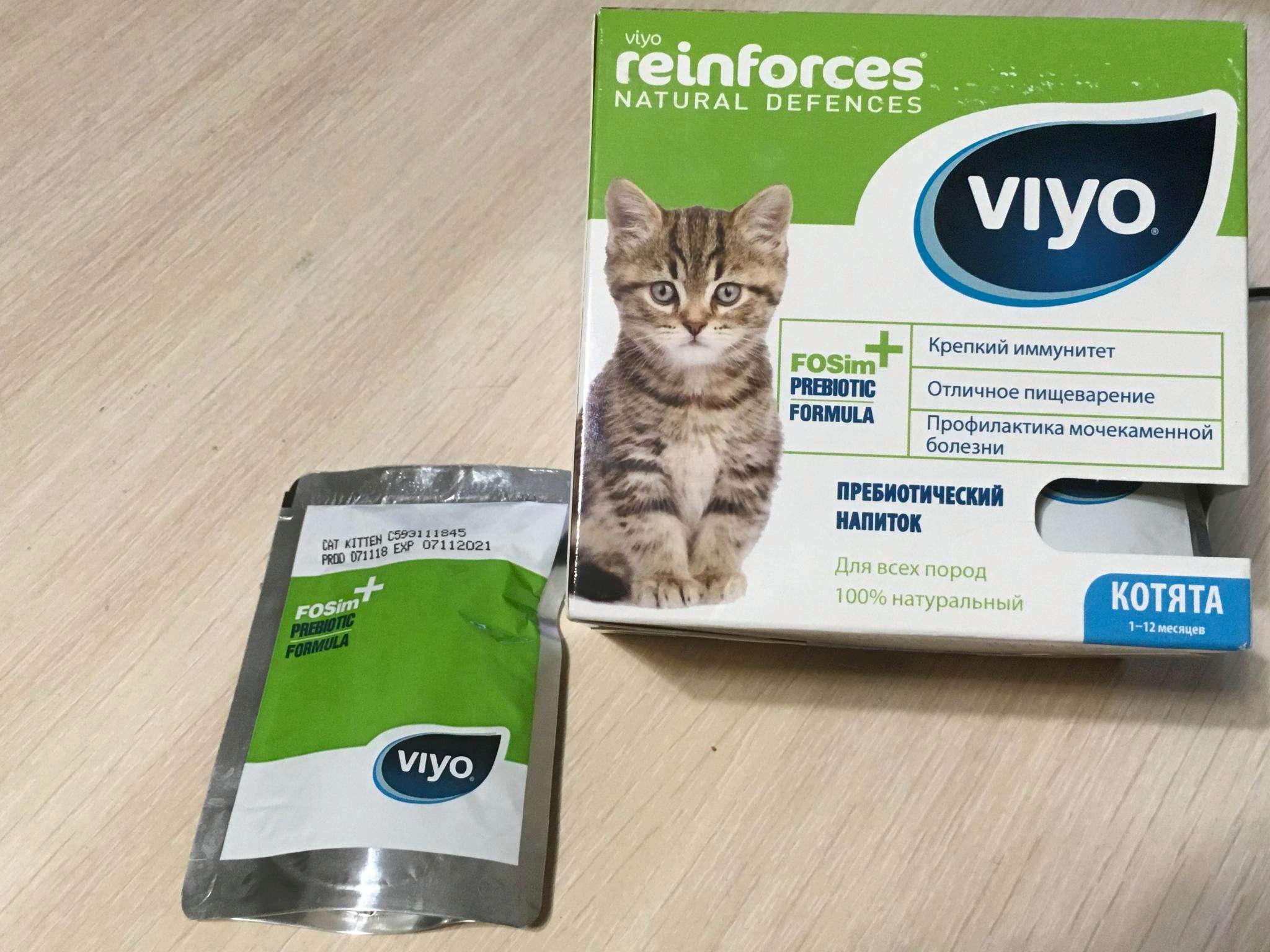 Пробиотики для кошек: нужны ли и как их даватьцентр реабилитации временно бездомных животных «юна»
