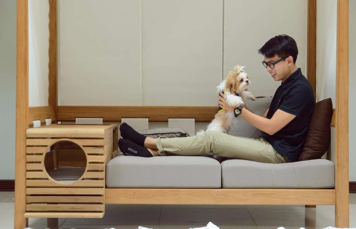 Место для собаки в квартире: как обустроить и приучить к нему питомца | ваши питомцы