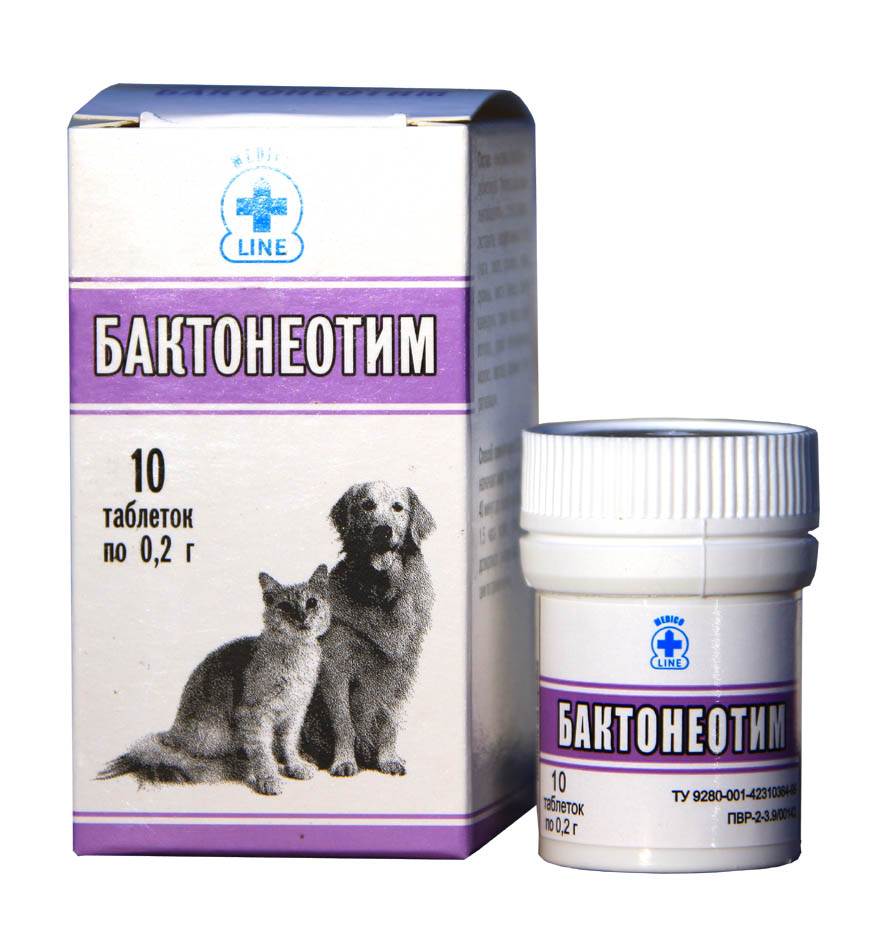 Пробиотики в корме для собак и кошек: ветеринарные дозы для здоровья кишечника, лучший пробиотик для собак