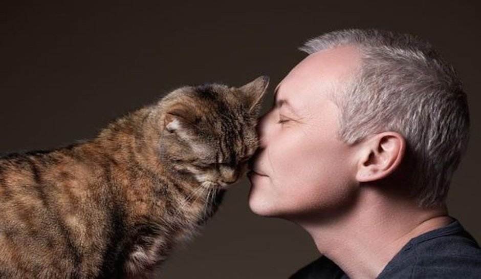 Почему нельзя целовать кошек в морду