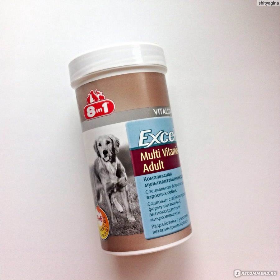 8 в 1 эксель мультивитамины для щенков / 8 in 1 excel multi vitamin puppy (витамины)  | отзывы о применении препаратов для животных от ветеринаров и заводчиков