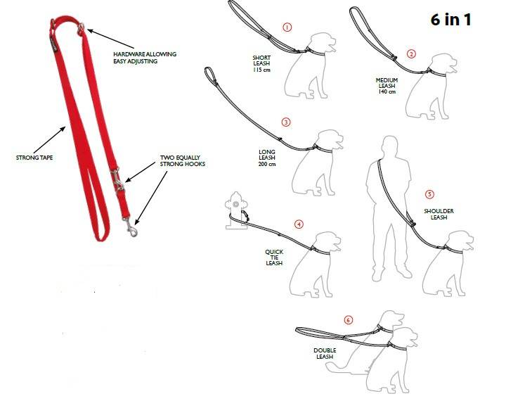Шлейка для собаки своими руками: пошаговая инструкция в 5 этапов
