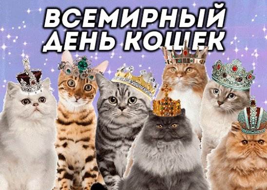 Всемирный день кошек в 2019 г.: какого числа отмечают, история праздника в 2021 году