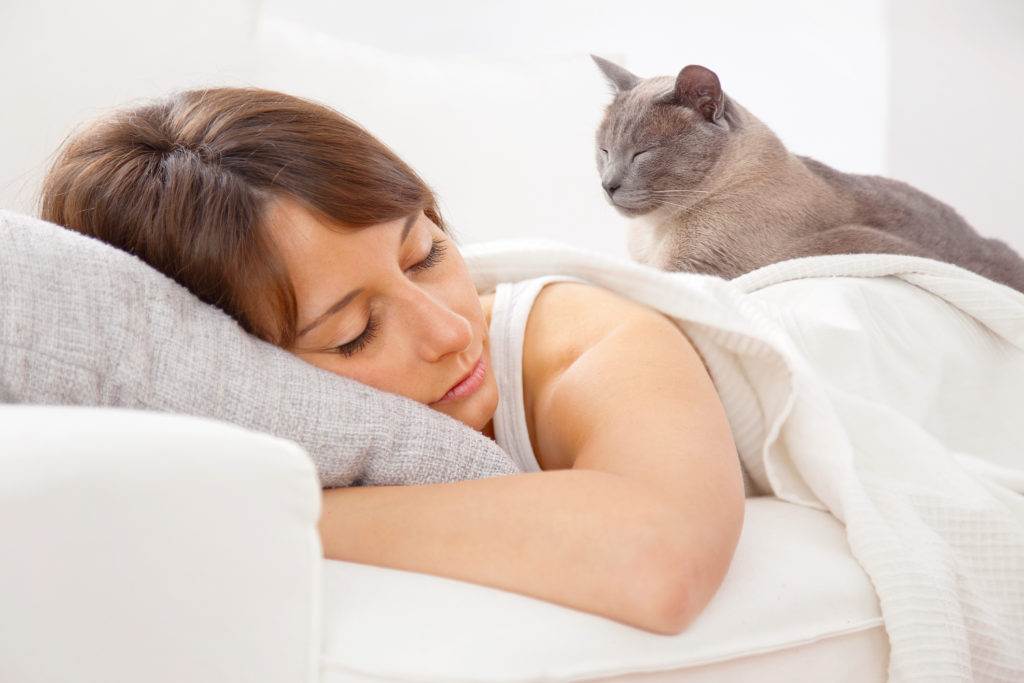 Почему кошки любят спать рядом с хозяином, в ногах у человека, что это может значить?