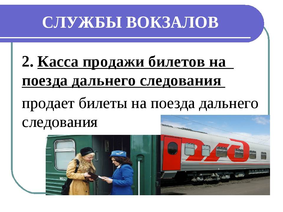 Перевозка животных в поезде ржд 2022(кошек): как перевезти кота по россии жд транспортом (скачать правил провоза)