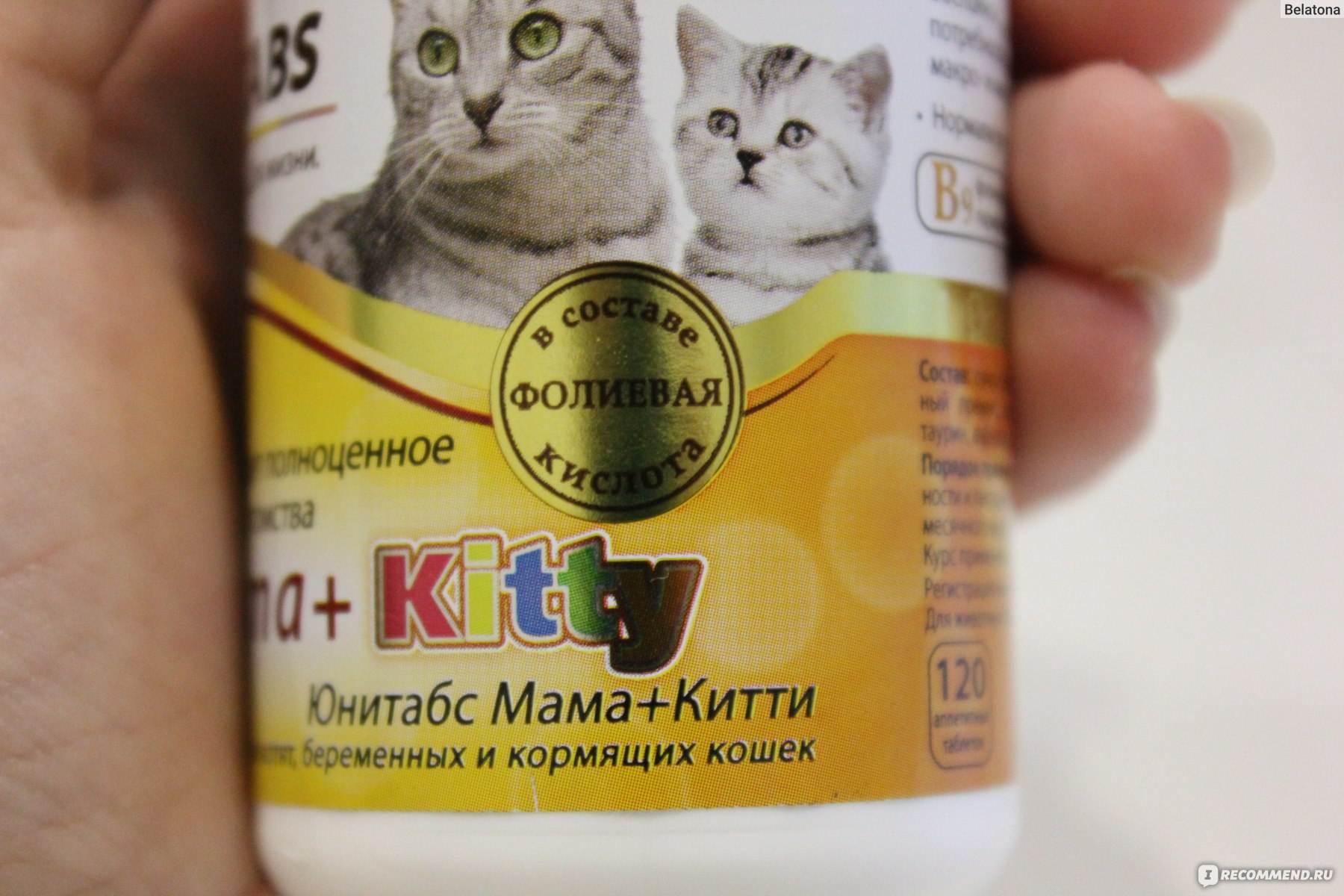 Витамины для кошек: зачем нужны и какие бывают