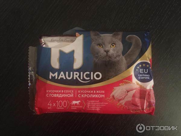 Корм для кошек mauricio («маурицио»): отзывы о нем ветеринаров и владельцев животных, его состав и виды, плюсы и минусы