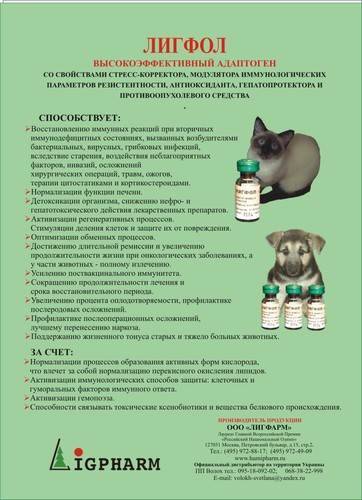 Лигфол для собак: инструкция по применению, назначение, дозировка и схемы лечения, отзывы