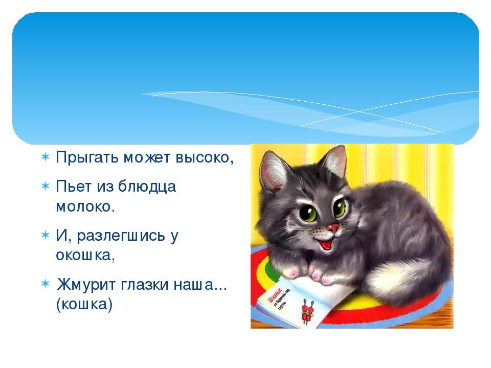 Загадки про кошку - подготовка к школе и развитие речи для детей мама7я
