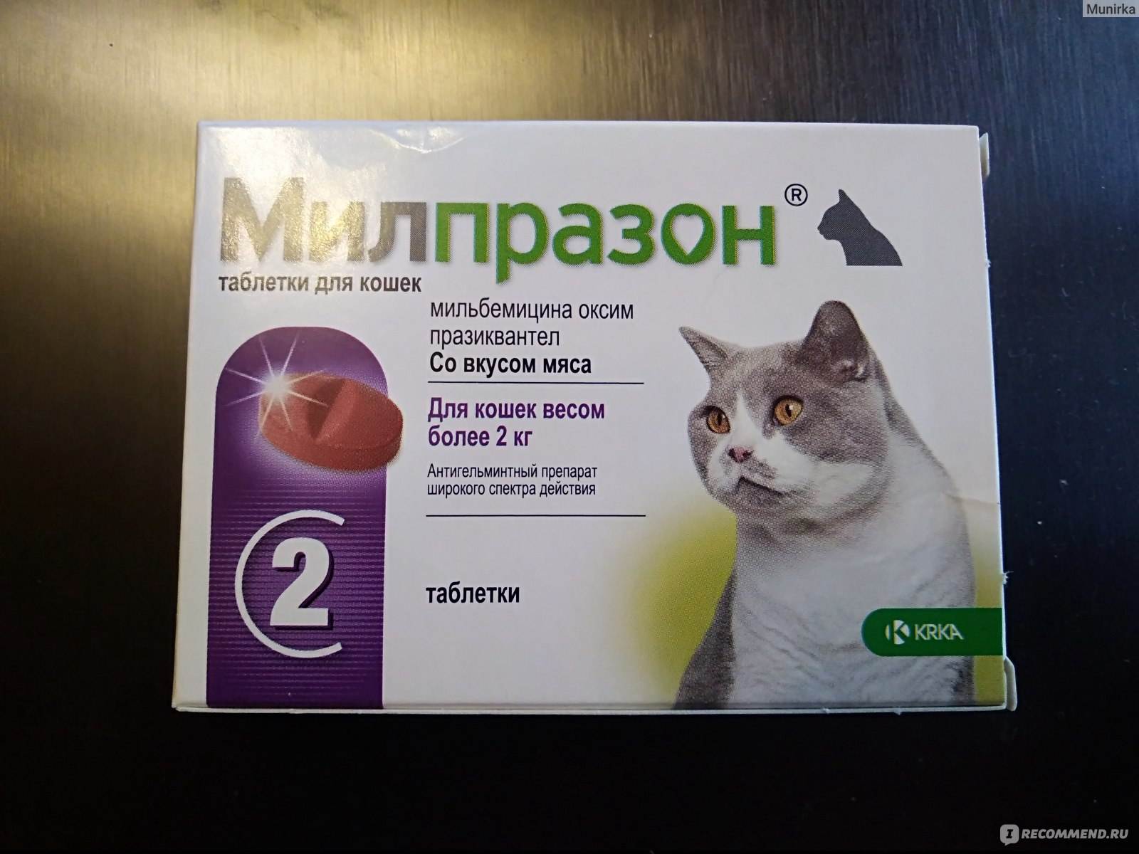 Как правильно применять препарат милпразон для кошки: обзор инструкции
