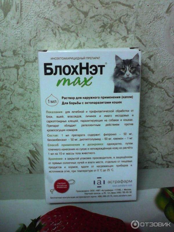 Спрей для кошек от блох – эффективное средство | нвп «астрафарм»