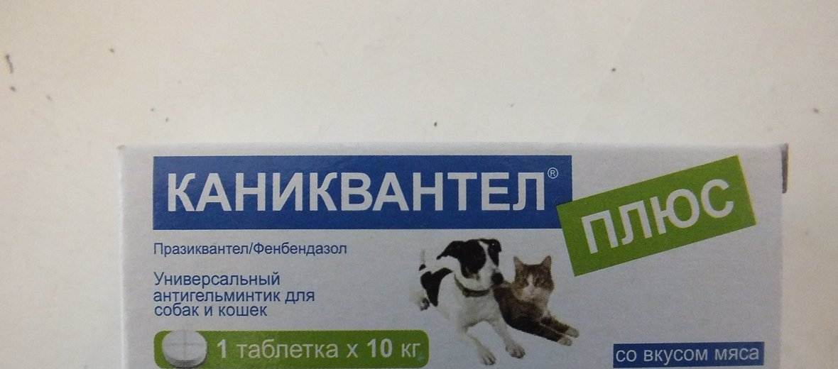 Каниквантел плюс для собак: инструкция, описание препарата