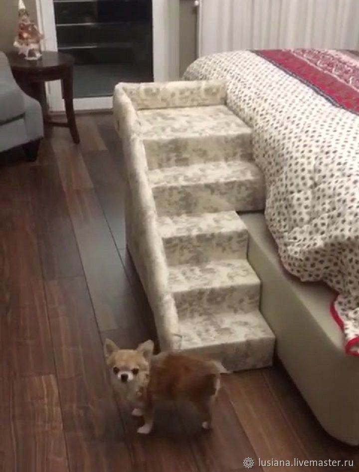 Обзор прикроватных ступенек для маленьких собачек: выбор лестницы на диван