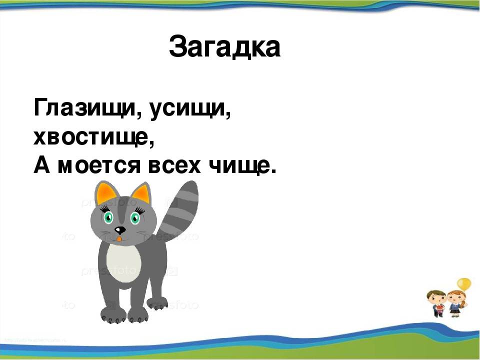 Ответ на загадку про кошек в углу. картотека «загадки о кошках, котах и котятах» | интересные факты