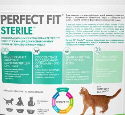 Чем кормить кастрированного кота: 5 советов по правильному питанию