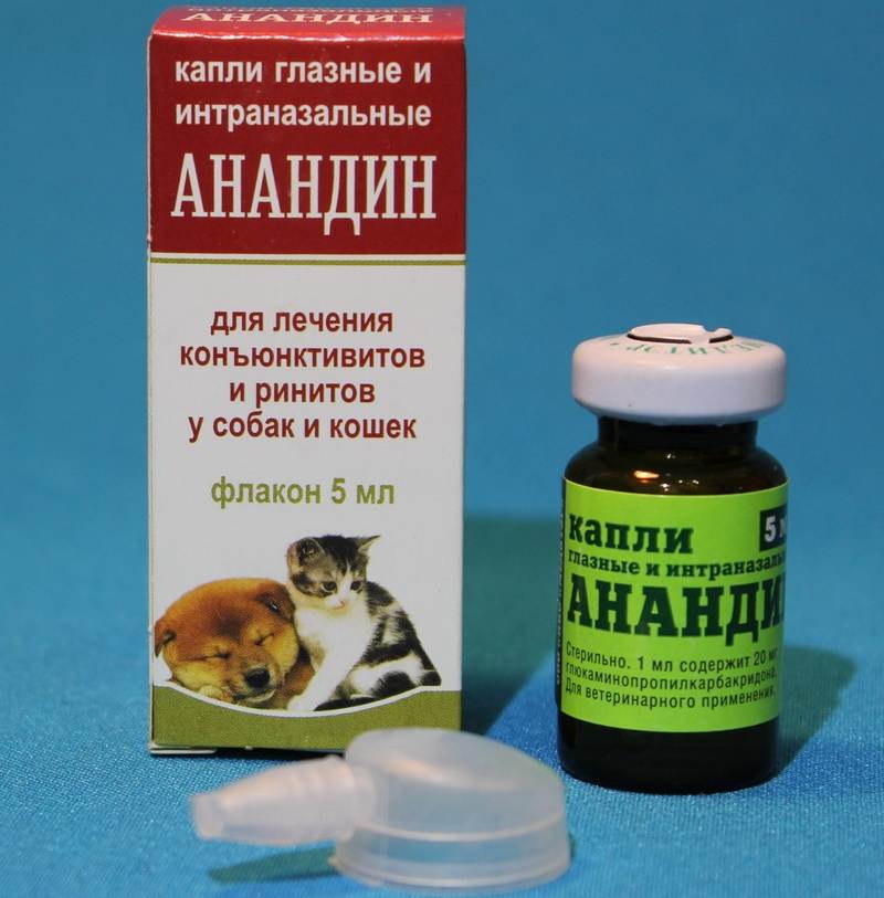 Отзывы капли ушные анандин плюс для лечения отитов и отодектозов у собак и кошек » нашемнение - сайт отзывов обо всем