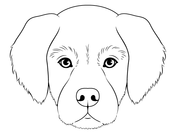 Как нарисовать собаку для детей карандашом поэтапно