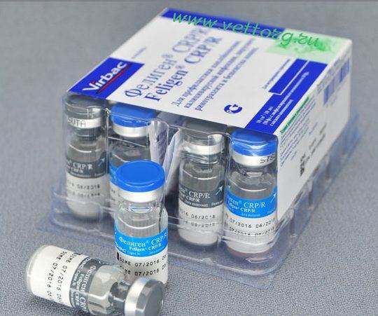 Feligen rcp ( фелиген crp ) вакцина с растворителем против калицивироза, ринотрахеита и панлейкопении кошек