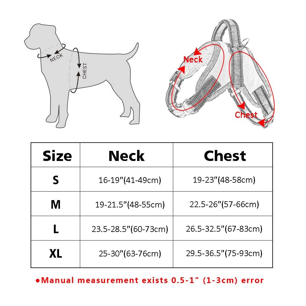 Размеры собак: какие бывают? плюсы и минусы пород разных размеров
