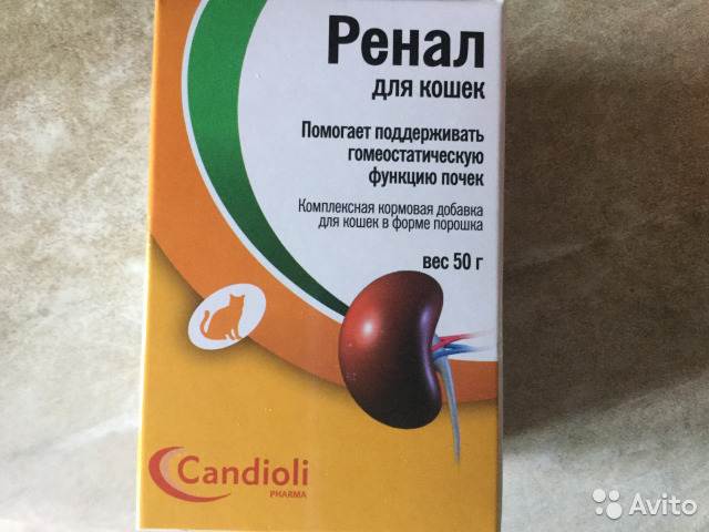 "ренал эдвансед" (для кошек): показания, применение, отзывы владельцев ???? лечение