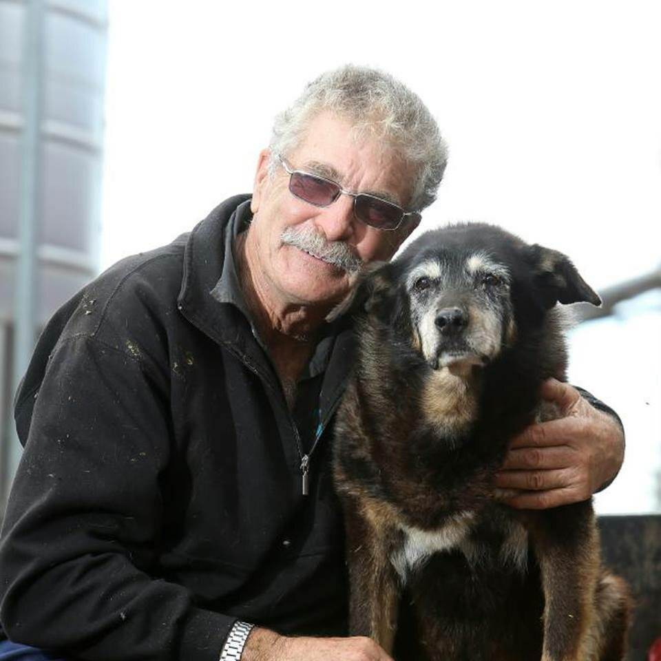 Самая старая собака в мире: сколько она прожила