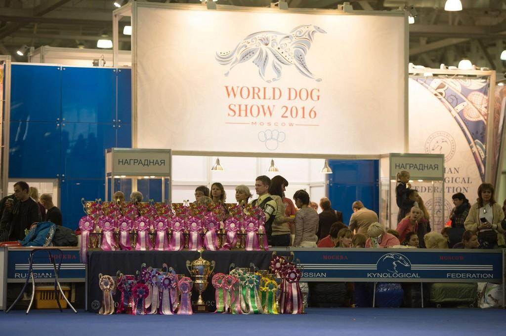 Всемирная выставка собак - world dog show