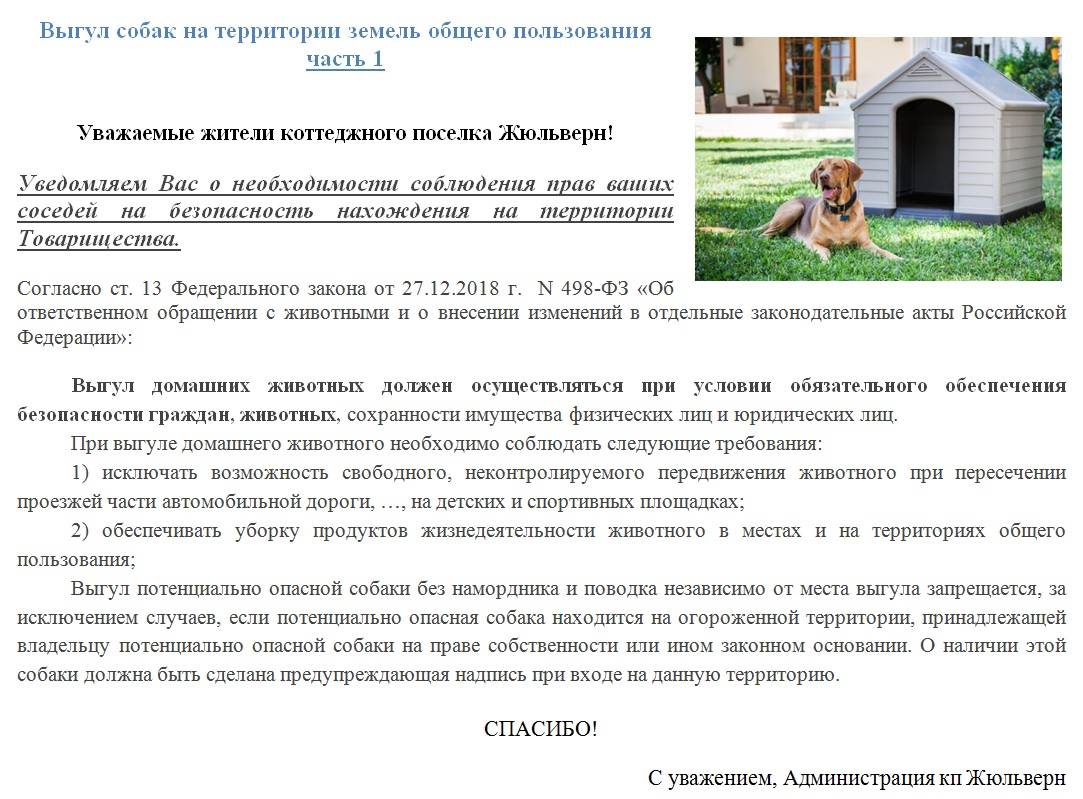 Разрешено ли содержание собаки в доме согласно православным традициям