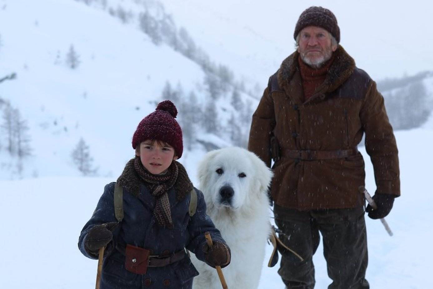 Belle and sebastian - rotten tomatoes