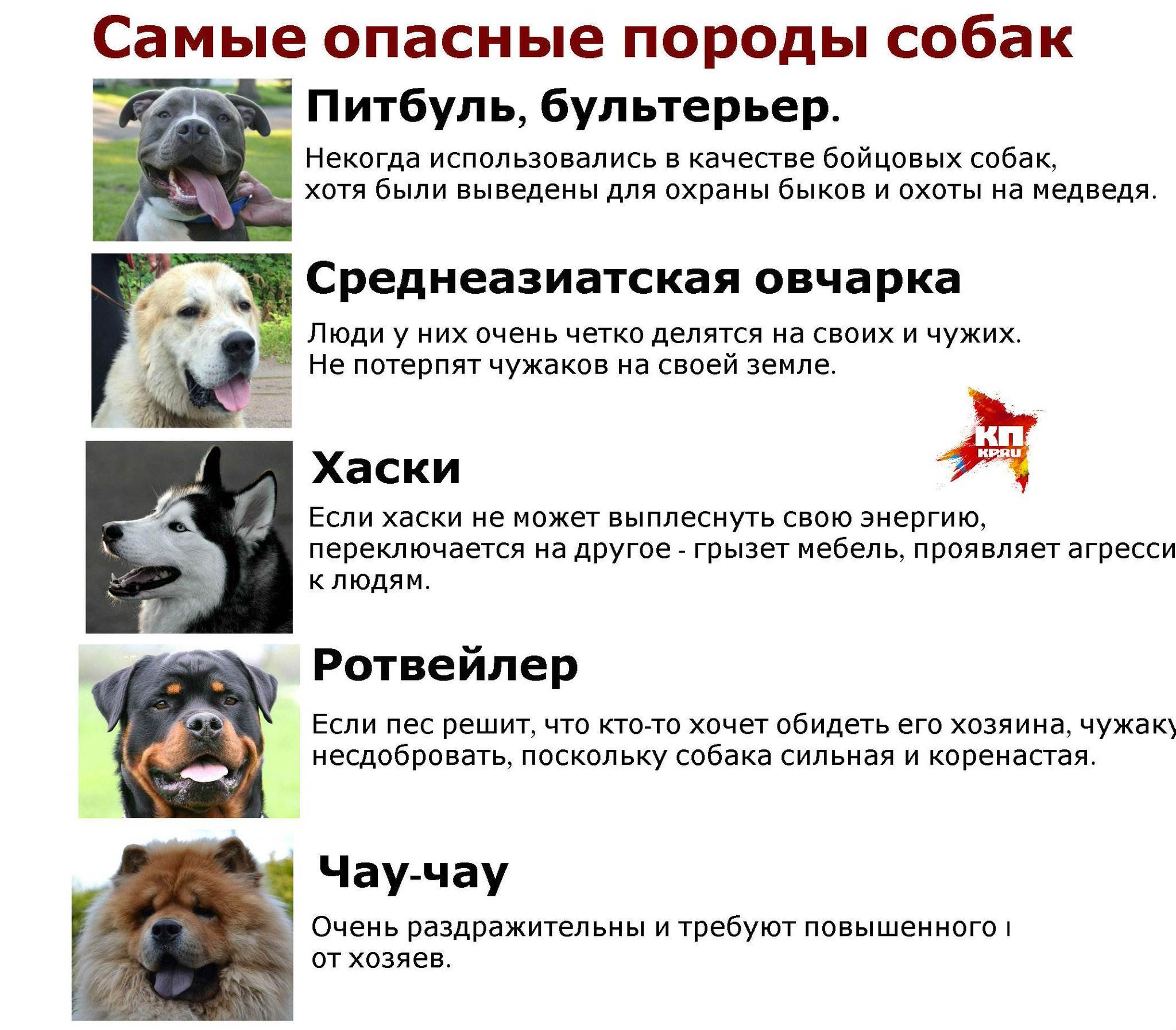 Списки опасных пород собак