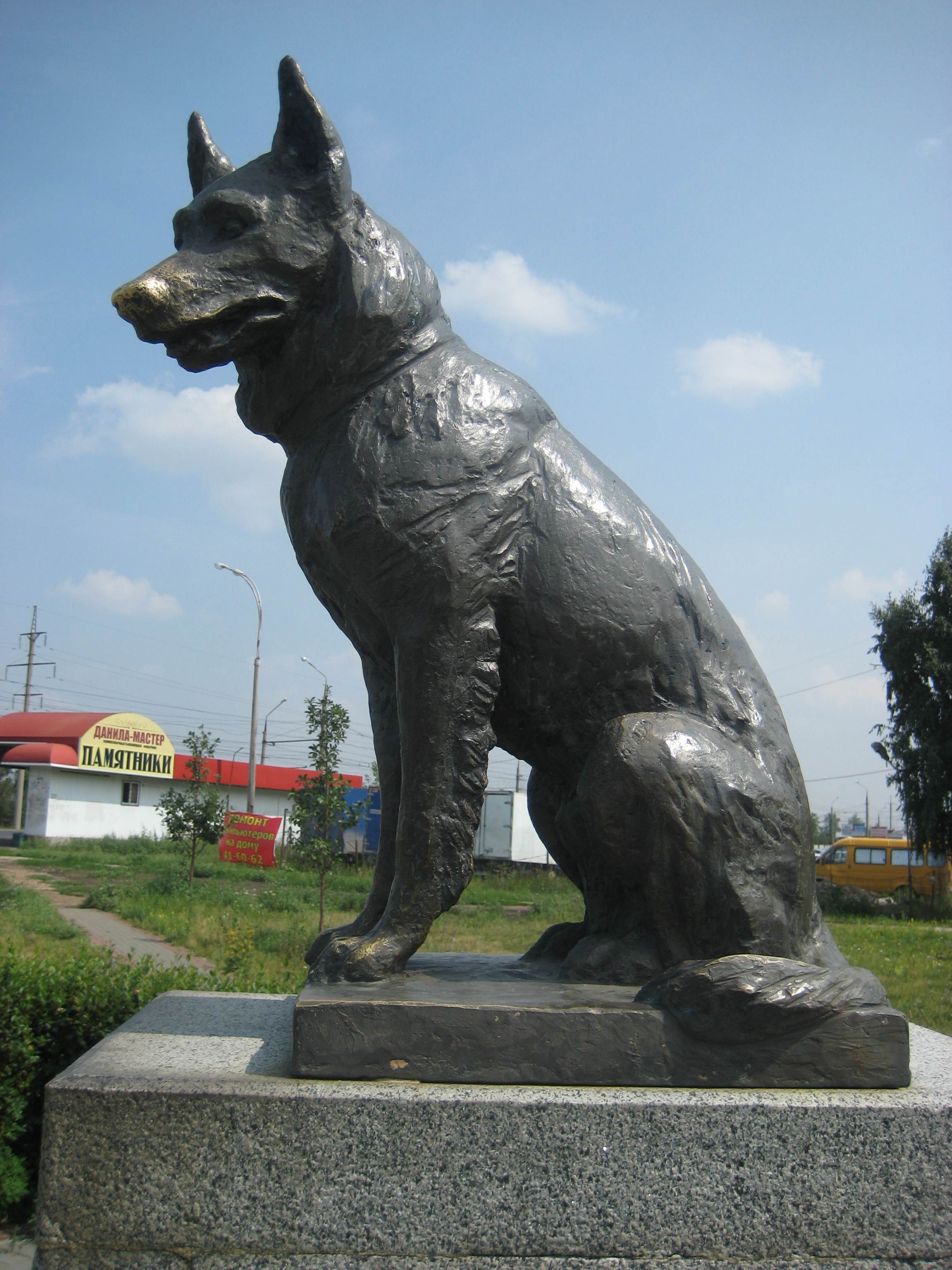 Где находится памятник хатико, памятники собакам в мире и в россии