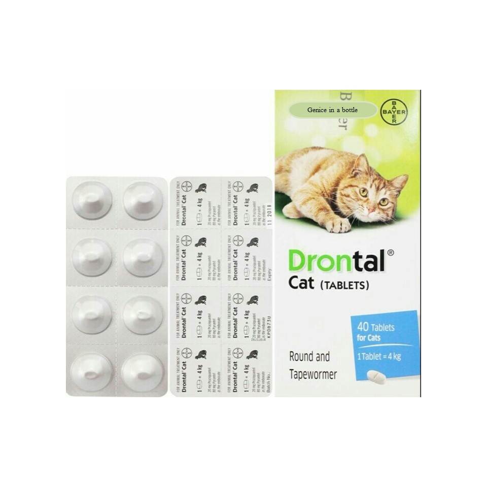 Дронтал для кошек - инструкция по применению, дозировка, побочные эффекты, аналоги, цена