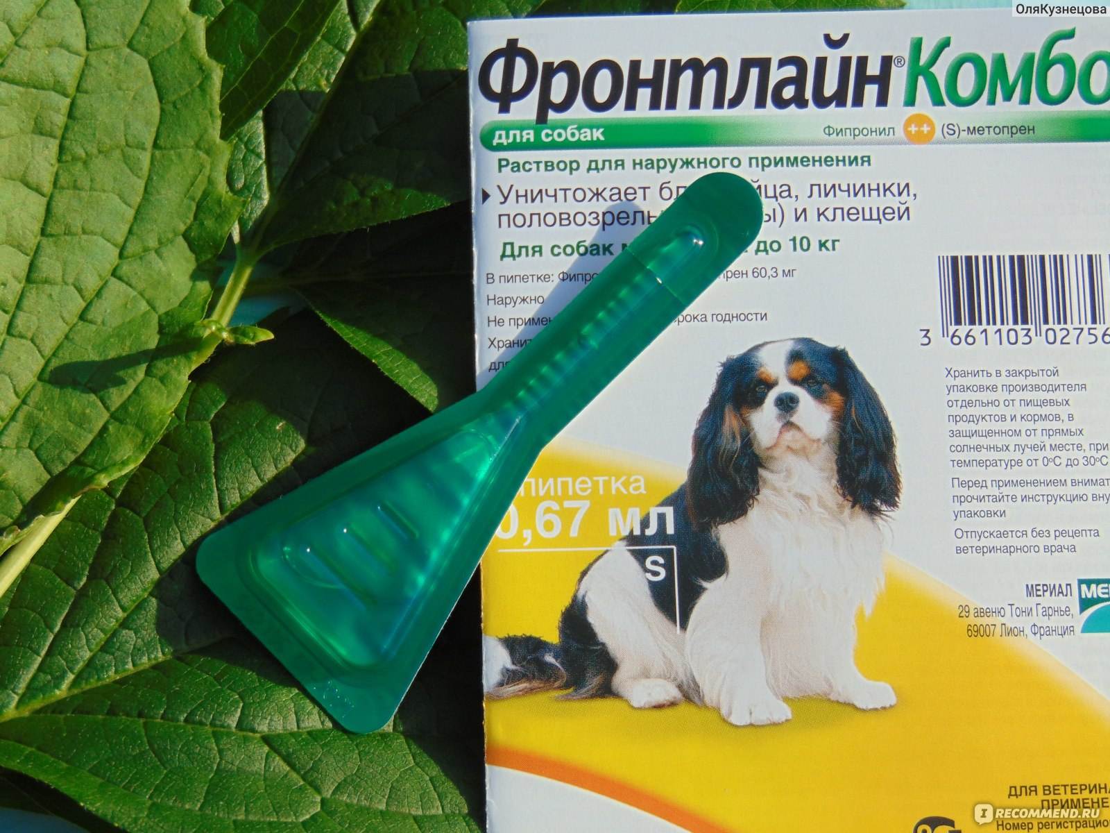 Фронтлайн комбо для собак. Капли Фронтлайн комбо. Фронтлайн комбо для собак 2-10 капли. Капли на холку Фронтлайн для собак.