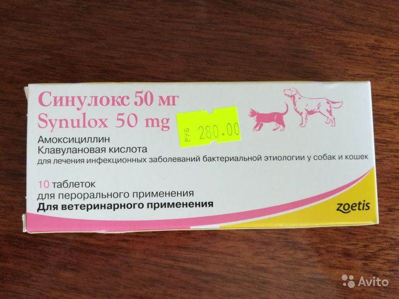 Применение антибиотика синулокс при лечении инфекций у кошек