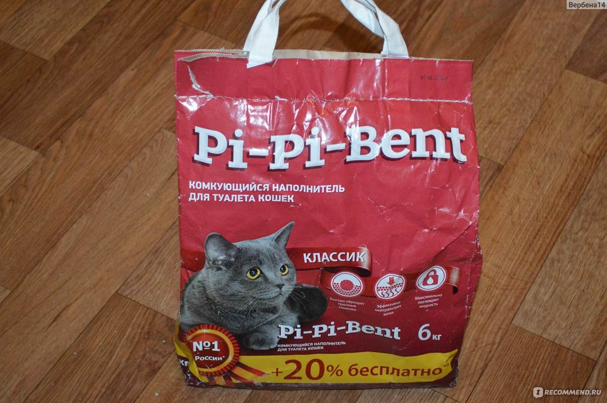 Кошка ест наполнитель: 6 методов как отучить