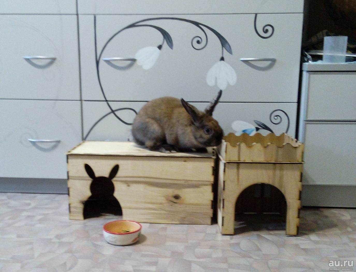 Домики для кроликов своими руками: чертежи, пошаговая инструкция по сборке
