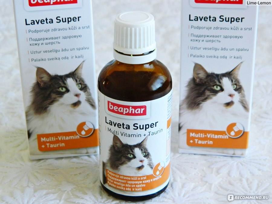 Витамины от выпадения шерсти для кошек: рейтинг лучших, лечение