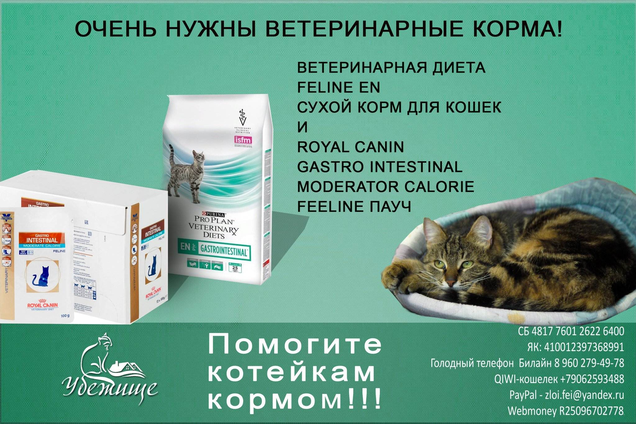 Можно кормить кошку разным кормом. Корм лечебный для кошек ветеринарный. Корм для кошек с проблемами ЖКТ. Корм для котят советы ветеринаров. Сухой корм для кошек ветеринаров.