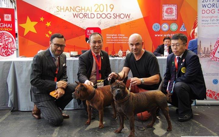 World dog show 2019 (чемпионат мира собак) | где пройдет, всемирная выставка
