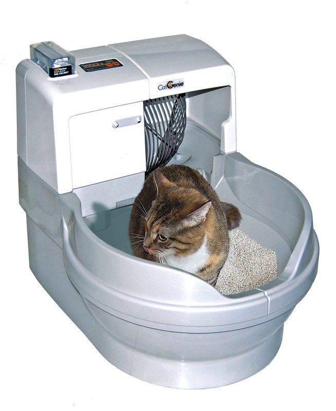 Какой туалет для кошки лучше – автоматический кошачий унитаз со сливом, самоубирающийся или сделанный своими руками?
